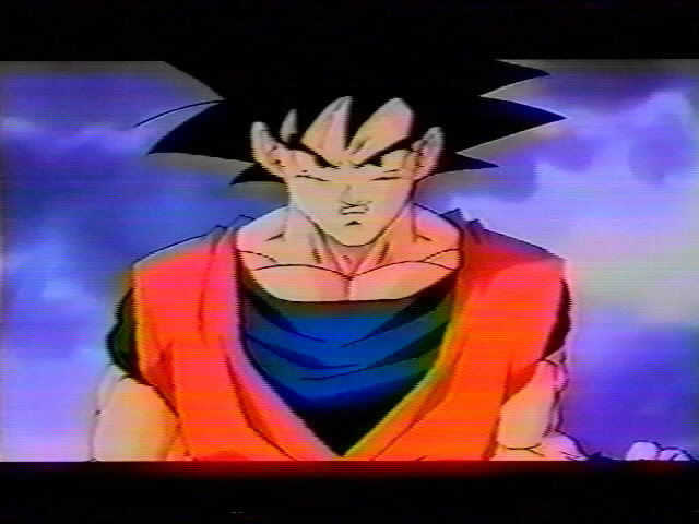 Dragonball Z Movie 13 (20).jpg